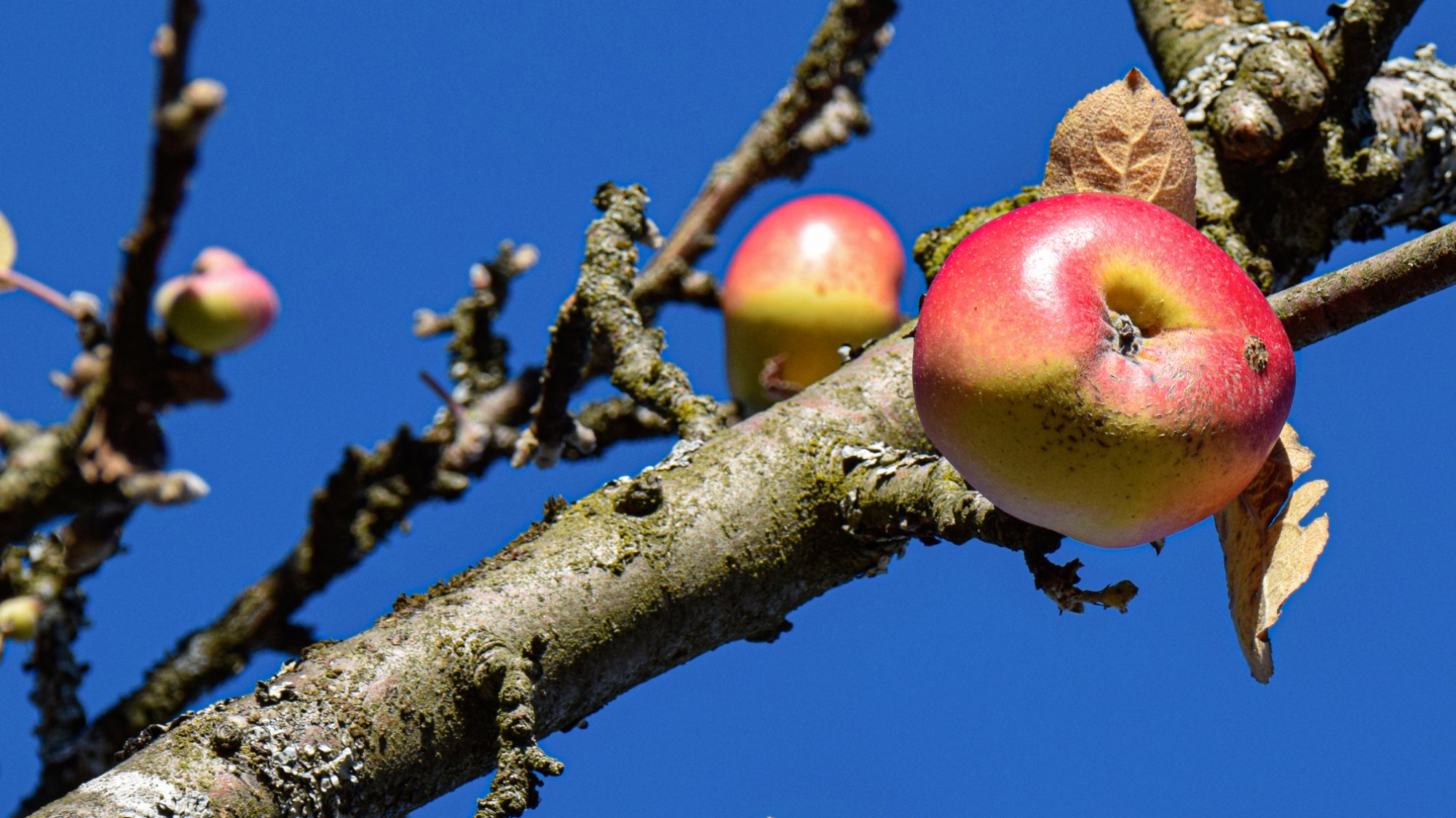 Gottesdienst und Predigt