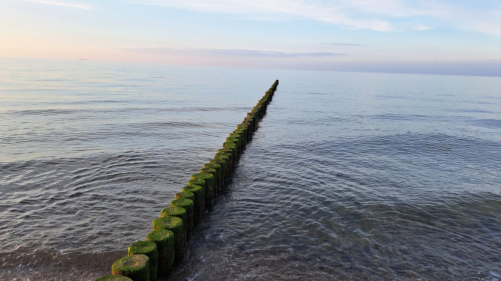 Gottesdienst und Predigt