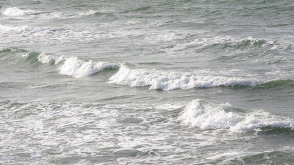 Gottesdienst und Predigt