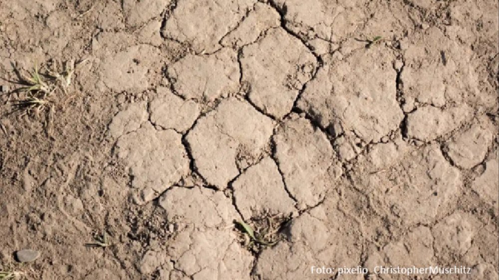 Gottesdienst und Predigt