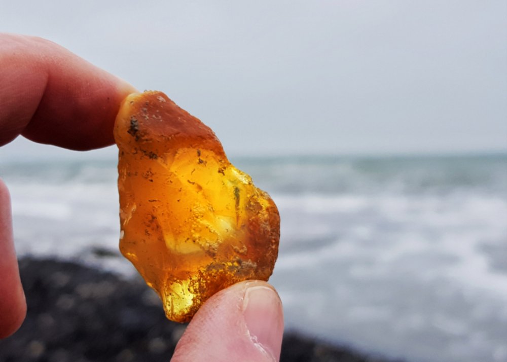 Treffen der Seniorengruppen